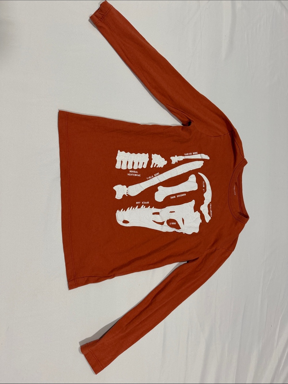 CrewCuts Glow in the Dark Dino Bones Long Sleeve Tee